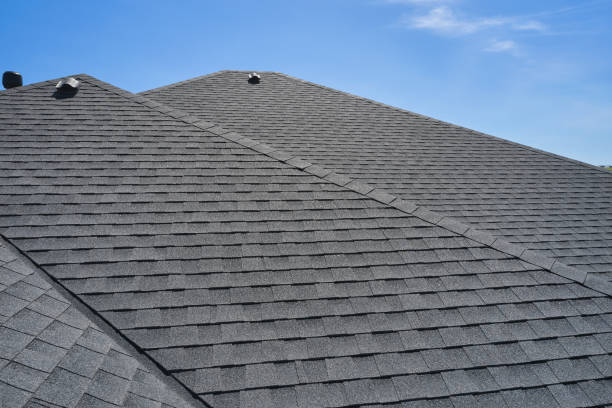 Best Gutter Installation and Repair  in Bayou La Batre, AL